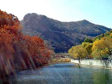 新澳天天开奖资料大全旅游团，御方驭风饮价格